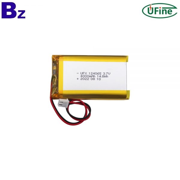 Lithium-ion Cell Factory Wholesale 124065 Battery