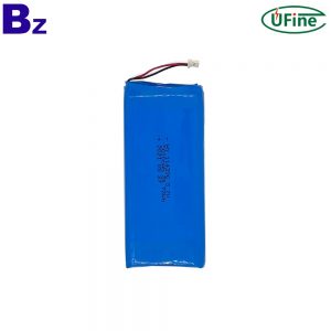 professional_customize_rechargeable_battery