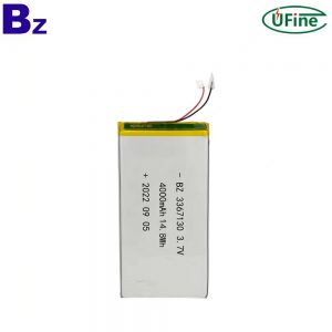 Professional Custom Li-polymer Battery