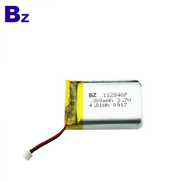 112840_1300mah-2_