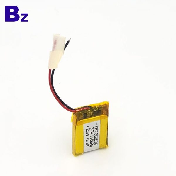 302025_110mah-5