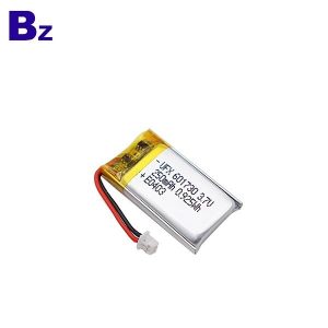 601730_250mah-1_