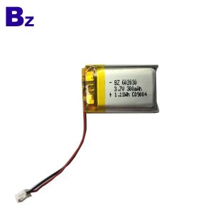 602030_300mah-2_