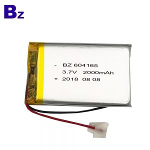 604164_2000mah-2