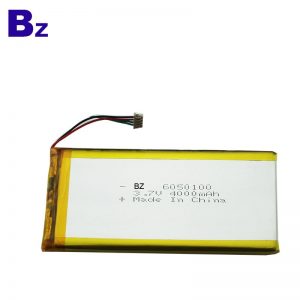 6050100_4000mah-3_