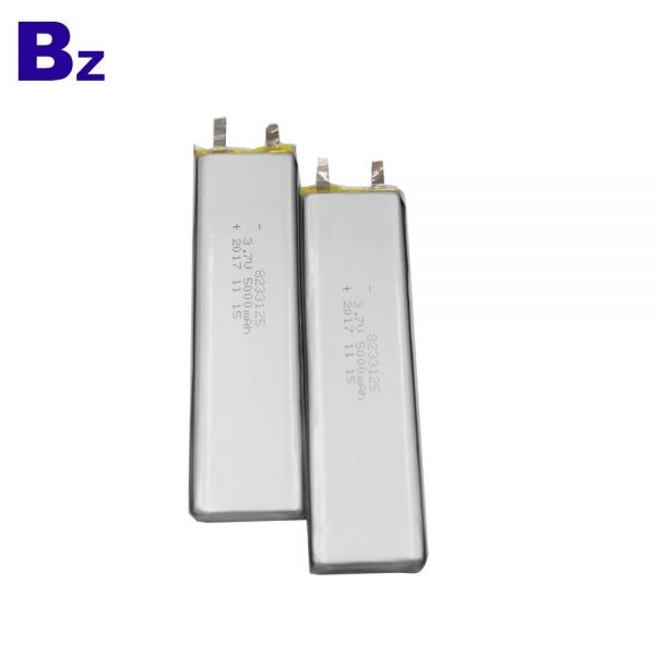 8233125_5000mah-2_