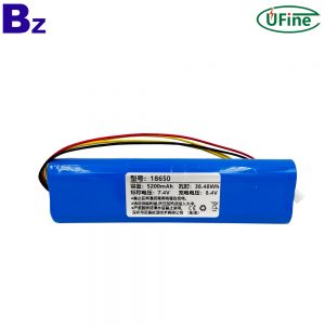 Professional Custom Battery Pack