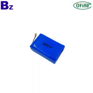 Cell Manufacturer Professional Customized Battery