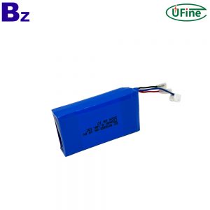 Professional Customize Li-ion Polymer Battery Pack